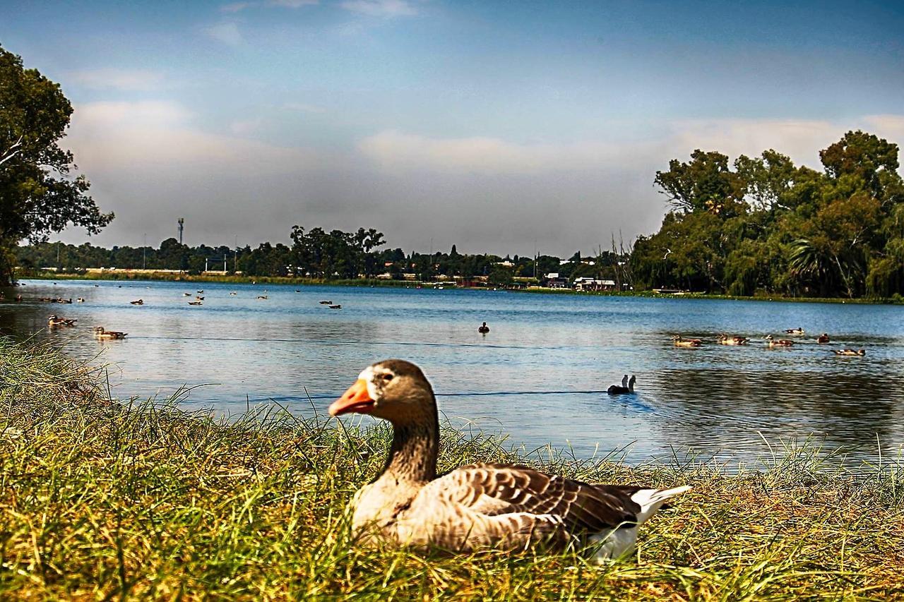 Lakeview Boutique Hotel & Conference Center Benoni Ngoại thất bức ảnh